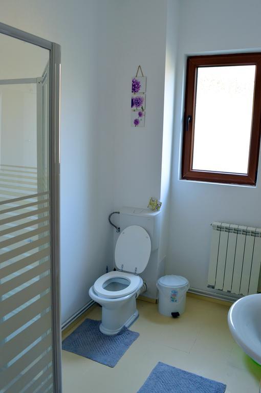 Exit Routine Hostel Timişoara Extérieur photo